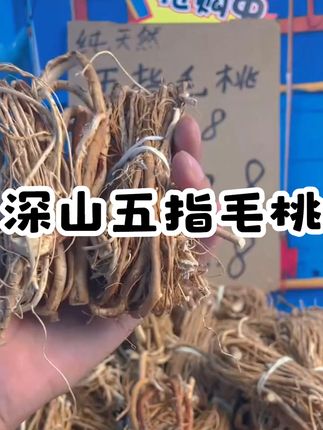 【精选】广东深山五指毛桃农家自然晾晒细根【捆】无硫煲汤煮水泡 #五指毛桃 #滋补佳品 #煲汤食材 #好物分享 #山货