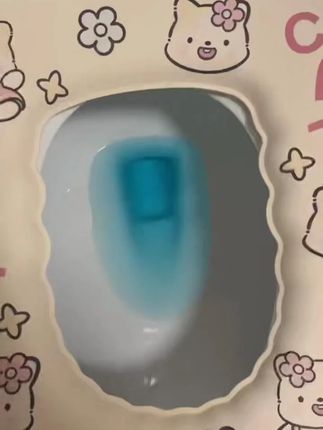 洁厕宝还得是这种能冲1000次的#洁厕宝 #蓝泡泡洁厕宝 #卫生间好物