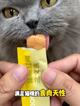喵铮铮新品,人人有份!快来冲….#喵铮铮猫条 #新手养猫 #自用好物推荐
