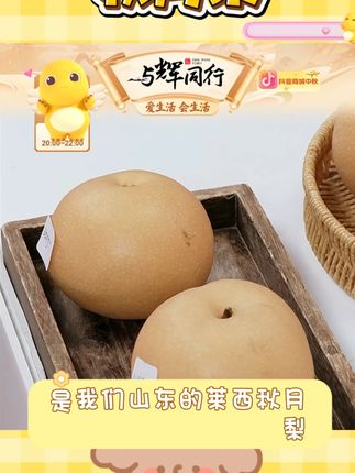 【鲁甄】山东莱西秋月梨4.5/7斤*1箱 单果350/400 #秋月梨 #梨 #梨子 #梨子熟了 #梨子酱 @DOU+小助手 @DOU+好生意