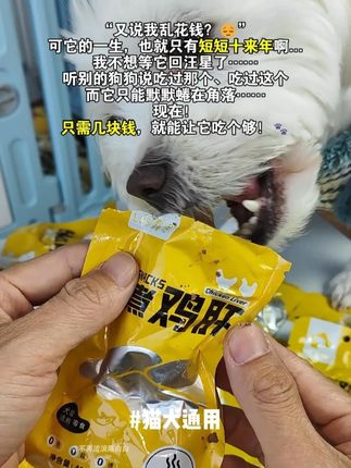 小狗一生只有短短十几年,我不希望它有遗憾…… #宠物鸡肝 #宠物零食 #狗零食 #猫零食 #萌宠好物