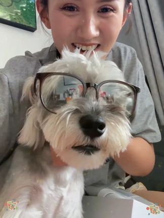 #平光镜 #圆脸 #方框眼镜