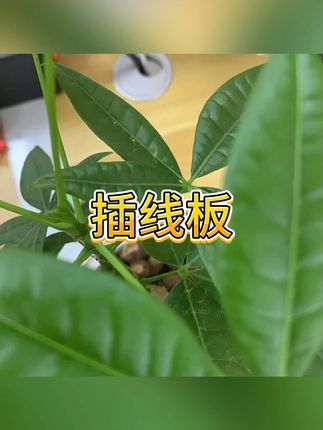 插线板 #家用插座 #插座 #接线板 #插线板 #排插