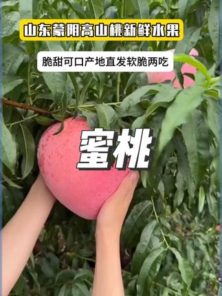这个夏天你可能需要一个给你寄桃子的山东朋友 #桃子熟了 口感又脆又甜!满口的桃香味儿!#山东蒙阴脆桃 #脆蜜桃 #脆桃