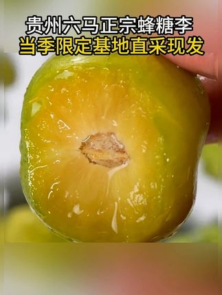 贵州镇宁六马的 #蜂糖李 纯甜无酸,一口下去脆甜多汁,像蜂蜜一样甜,没吃过的一定要试试 #李子熟了 #新鲜应季水果 #新鲜应季水果 #新鲜采摘
