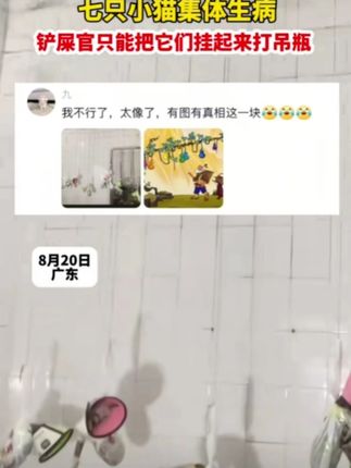 神奇的卡通路由器置物架,收纳方便!赶紧来看看吧#好物推荐🔥 #居家好物 #实用好物 #免打孔 #显瘦穿搭