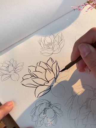 国画白描荷花 花香风气暖,云淡日光新,工笔白描最是修心#白描 #工笔画 ZZ