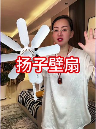 #居家好物 #网红小风扇 #卫生间厨房专用小风扇 #爆款热卖中 #挂壁风扇