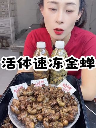 新鲜山东大知了猴顺丰包邮活体速冻金蝉爬叉知了爬拉猴唐僧肉 #金蝉 #好物分享 #你想吃吗 #想吃的快来 #吃了还想吃