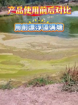 #水产 #水产养殖 #四大家鱼养殖 #鱼虾蟹养殖