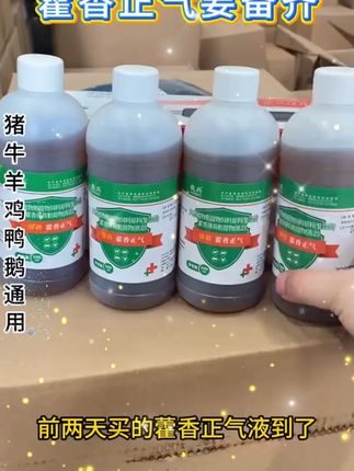 天热了,赶紧给咱家的猪牛羊鸡鸭鹅准备起来这个藿香正气 #养殖 #养殖户 #养殖 #藿香正气