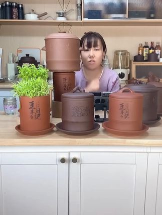 古方豆芽紫砂豆芽罐豆芽机家用实用发芽盆发豆芽神器+139 元 古方豆芽紫砂豆芽罐豆芽机家用实用发芽盆发豆芽神器+139 元大号罐适合 6 到 12 人!
