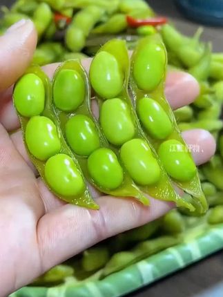 好养活又好吃#毛豆 #毛豆种子 九月寒大粒毛豆种子,颗粒饱满圆润,现在正是种植的季节#优质农产品 #蔬菜种子 #九月寒毛豆种子 #毛豆种子 #阳台种植