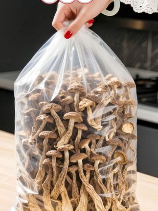 禾菇娘鹿茸菇新500g头茬活动古田高山无硫无熏干货凉拌炒肉