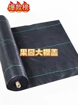 蔬菜种植应用防草布 增产增收 规范整齐好管理!#防草布 #蔬菜种植 #大棚盖 #果园大棚盖 #防草布除草布