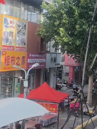 传统老面酵子老面味酵母发面引子老面引子益生菌发酵粉发面宝5g#老面酵子 #酵母 #发面引子 #老面引子 #发酵粉