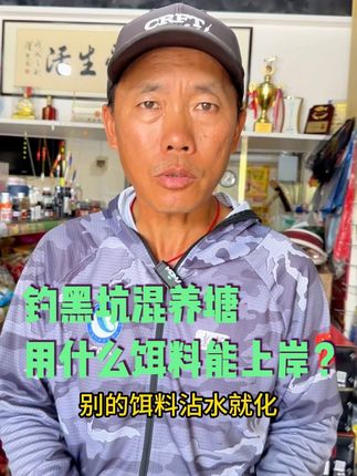 大师调配,一包搞定,黑坑混养塘专用饵料,两杯饵料一杯水,开饵超简单。#黑坑 #混养塘 #一包搞定 #钓鱼