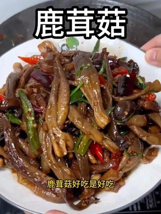 真正的高山鹿茸菇来啦!脆过银耳!鲜过竹荪!煲汤炒菜味道鲜美!大多数人没吃过,质优价廉手慢无