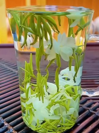 #茉莉花茶#召唤茶友#今天你喝茶了吗