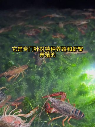 ##水产养殖 #四大家鱼养殖 #鱼虾蟹养殖