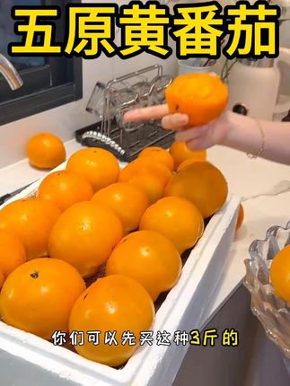 内蒙古的特产#黄柿子  ,生长于农家肥红泥地,源自黄河水灌溉,酸酸甜甜,味道特别浓郁,就是小时候那个味~#优质农产品  #新鲜应季水果  #口感非常好  #超便宜超划算
