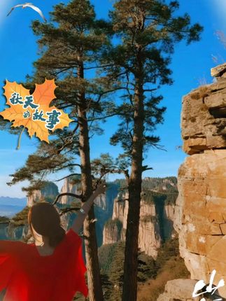 的确奇【夏上新】无痕裸感运动内衣女长款背心跑步防震舒适文胸2027