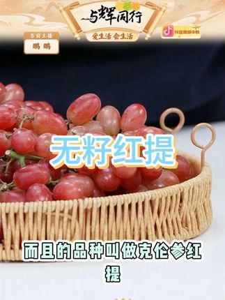 精品克伦生顺丰大凉山纯甜无籽红提葡萄应季水果现摘现发冰美人 #无籽红提 #葡萄 #应季水果 #现摘现发 #克伦生葡萄