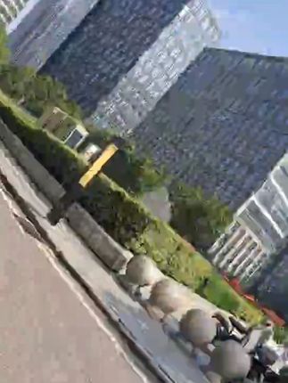 麂皮鞋刷绒面清洁鞋刷子翻毛皮橡皮擦麂绒面胶软毛擦鞋专用洗鞋刷#鞋刷 #麂皮鞋刷 #绒面清洁鞋刷 #鞋刷推荐 #鞋刷分享