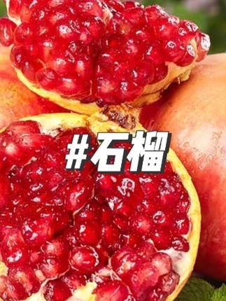 正宗四川会理突尼斯软籽石榴新鲜产地直发应季水果富含花青素#石榴 #新鲜石榴 #水果石榴 #视频同款 #好物推荐