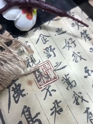 原创设计耳环——【亥猪】#原创设计耳环 #手工制作 #苗银饰品 #苗族文化