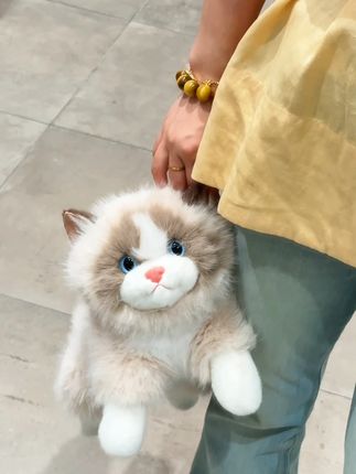 世界不能没有布偶猫! 这也太可爱啦#仿真布偶猫 #毛绒玩具 #布娃娃 #猫咪玩偶 #毛茸茸