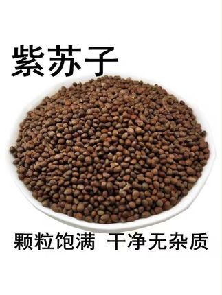 苏子紫苏子白苏子新货黑苏籽紫苏苏子榨苏子颗粒干净饱满#紫苏子 #紫苏子油 #五谷杂粮 #优质农产品 #好喝不贵