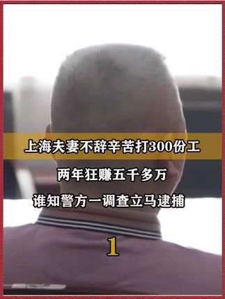上海夫妻不辞辛苦打300份工,两年狂赚五千多万,警方一调查立马逮捕(1)#真实事件 #案件解说 #法治