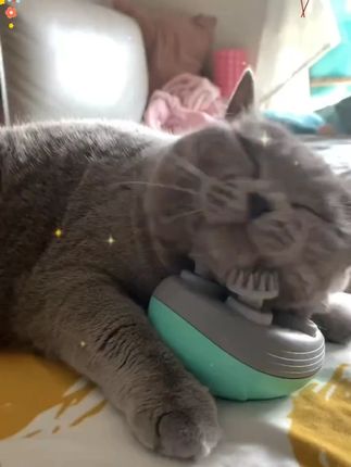 猫咪的快乐源泉!这个按摩器让主子爱不释手~ 😻🐱 #毛孩子的日常 #萌宠出道计划 #猫咪的日常 #好物推荐🔥