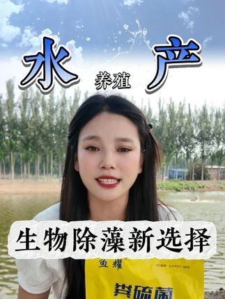 铁锈水,老绿水,浑浊水,被怕,粪硫菌来帮你#水产养殖 #鱼塘 #水产人
