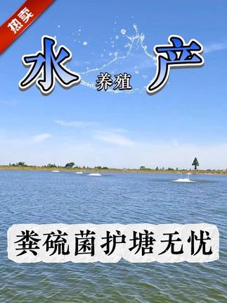 护塘就用粪硫菌#鱼虾蟹养殖 #水产养殖 #水产人