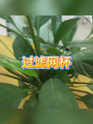 玻璃量杯带刻度厨房烘焙工具 #烘焙量杯 #厨房工具 #刻度杯