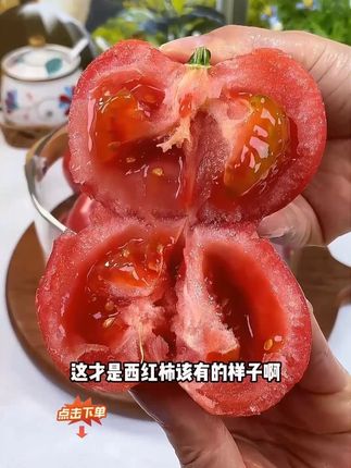 普罗旺斯西红柿 小时候的味道,反正吃过它以后超市里面的普通番茄就再也不想吃了~#现摘现发新鲜到家 #产地直发 #普罗旺斯水果西红柿 #一口掉进水果味的夏天 #水果