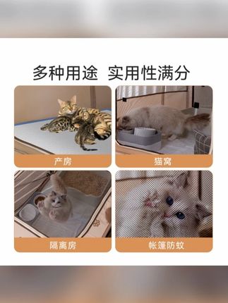 猫产房可折叠收纳舒适怀孕生产猫窝矩形不占地狗耐咬耐抓透气防蚊#猫产房 #可折叠猫窝 #舒适猫窝 #防蚊猫窝 #宠物猫窝