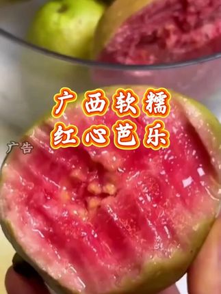 奶油芭乐,软糯香甜就像在吃冰淇淋#奶油芭乐#软糯香甜 #新鲜应季水果 #红心芭乐 #奶油芭乐番石榴