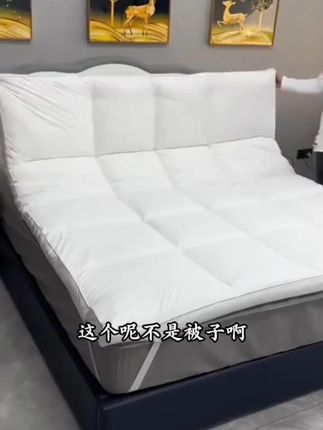 #家纺床上用品 #家居好物推荐 #家居 #软床 #加厚床垫软垫家用褥子铺底学生宿舍单人床褥垫租房专用床褥子垫被