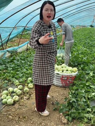 #口感特别好 #绿宝石甜瓜 #优质农产品 #绿色食品