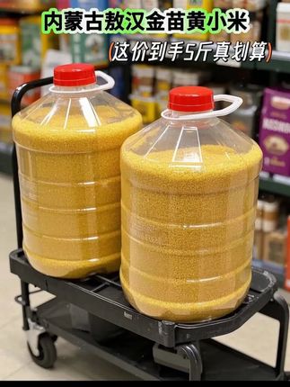 新货内蒙古赤峰大金苗黄小米 产自内蒙古赤峰市种植的黄小米,它色泽金黄,粒粒饱满,熬出来的粥特别粘稠,它能煮出厚厚的一层米油,这是新米,颗粒饱满,口感香醇。#黄小米  #黄小米的营养成分  #超便宜超划算  #小米粥