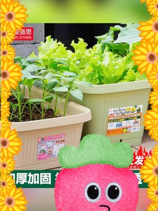 #爱丽思种菜盆 #阳台种菜盆 #蔬菜种植箱 #草莓花盆 #长方形花盆 爱丽思种菜盆蔬菜种植箱家庭阳台特大号长方形花盆草莓爱丽丝种菜