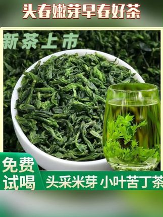 【2025年新茶小叶苦丁嫩芽】头春嫩芽早春好茶#今天你喝茶了吗 #召唤茶友 #茶文化 #制茶人 #花茶