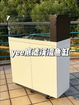 yee超白底滤缸做的就是品质和服务 #鱼缸 #溪流缸 #空气缸 #鱼缸客厅家用