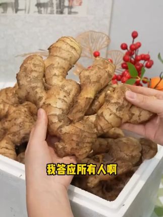 产地直发的有机生姜0农残天然生长家人吃了都说好 #生姜