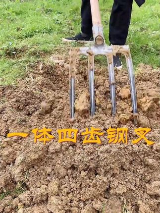 一体成型四齿翻地插秆钢叉,轻便又结实 #农业种植 #园林工具 #田园生活