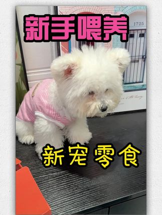 肉蔬结合的宠物佛跳墙,一口下去五种营养,挑食小狗也嘎嘎炫!# 狗狗 # 萌宠 # 萌宠好物