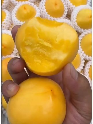 【芒果桃-顺丰陆运】新鲜黄金芒果桃 黄金油桃 无毛香甜 到货 #新鲜黄桃 #芒果桃 #黄金油桃 #油桃 #黄桃